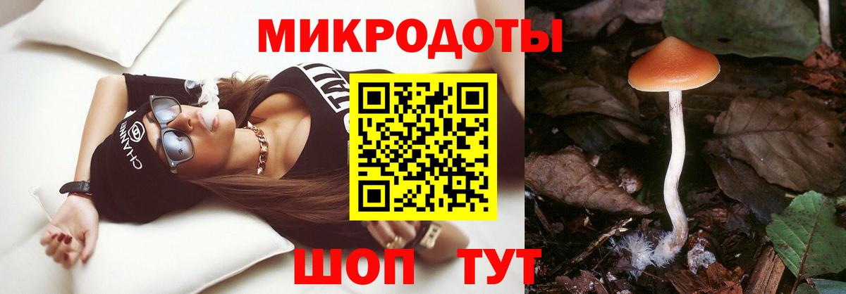 Учалы  Галлюциногенные грибы Cubensis  Вход с VPN 